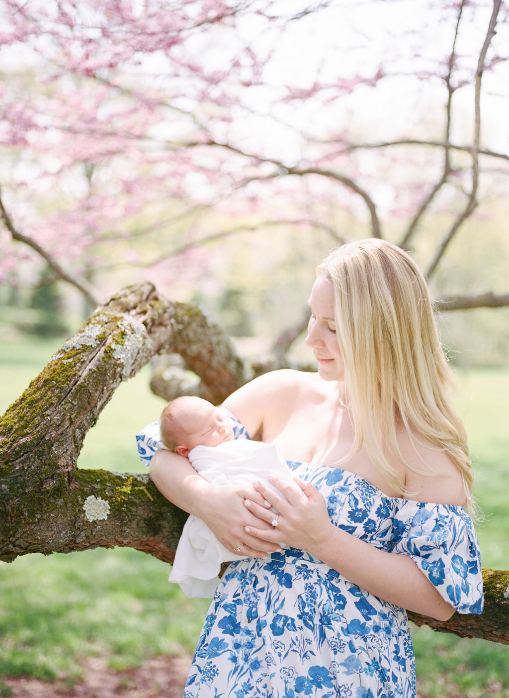 A woman in a blue and white dress stands under a pink blooming tree looking down at the newborn baby in her arms prenatal yoga northern nj