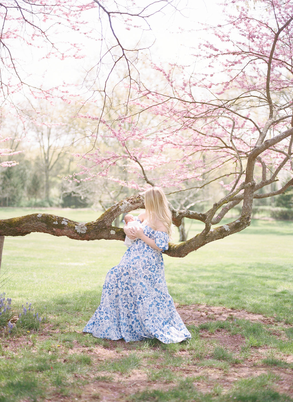 A mom in a blue floral dress stands under a pink blooming tree in a park while holding her newborn baby in her arms hazel jersey city