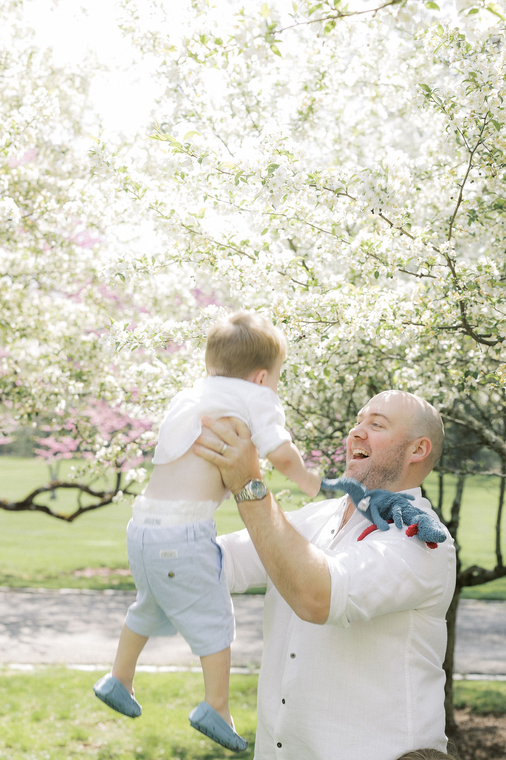 A happy dad lifts and plays with his toddler son in a park full of blooming trees